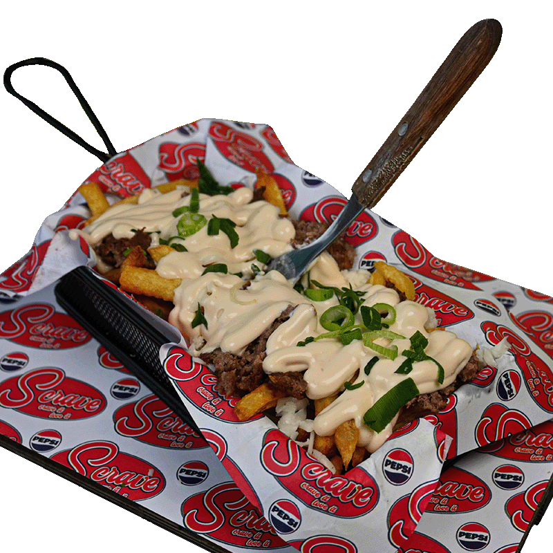 The Beefy Loaded Fries